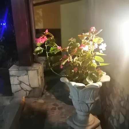 Eneahouse
