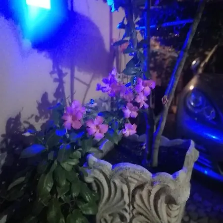 Eneahouse Maison d'hôtes Fiumicino